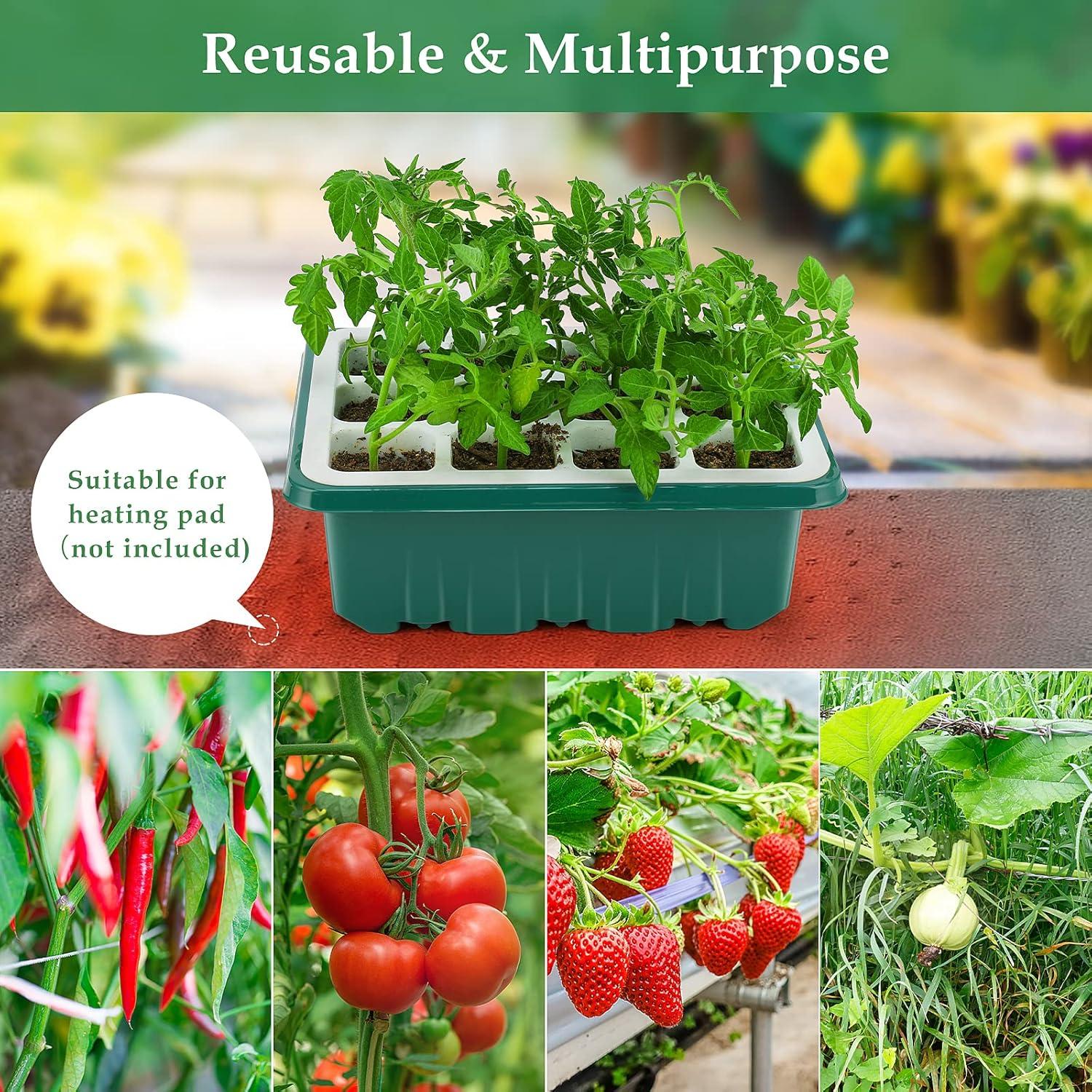 Bandeja para Iniciar Semillas Ryscam 24 Celdas Verde Reutilizable