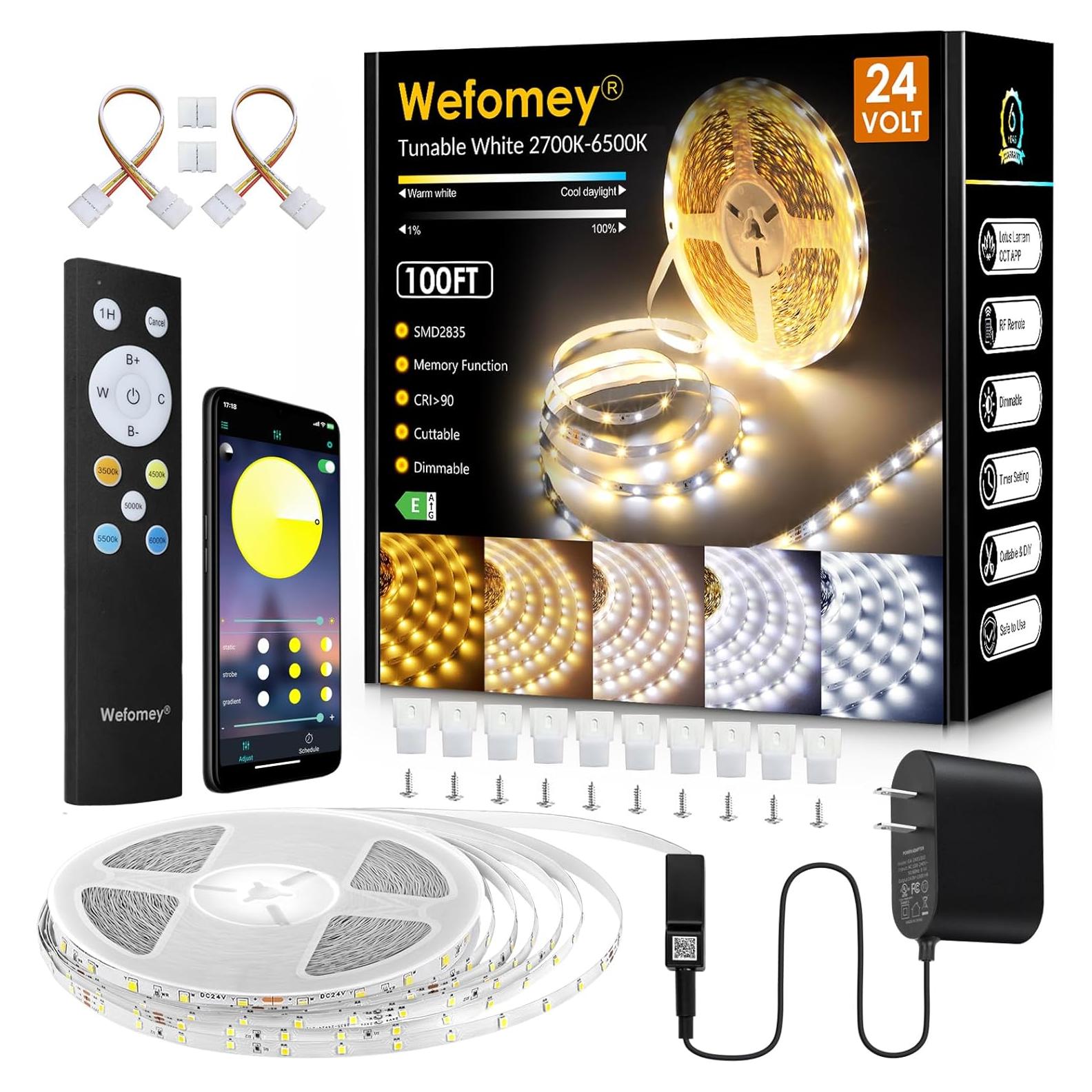 Tira LED blanca regulable 30m Wefomey 24V con control remoto