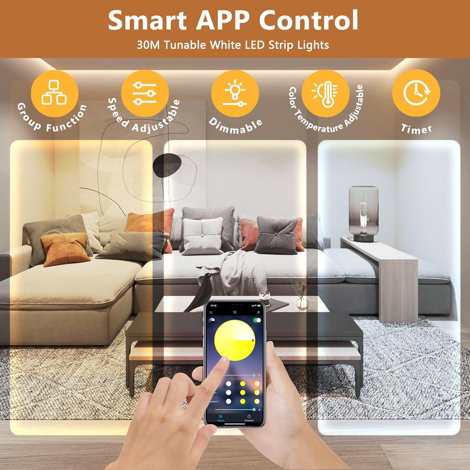 Tira LED blanca regulable 30m Wefomey 24V con control remoto