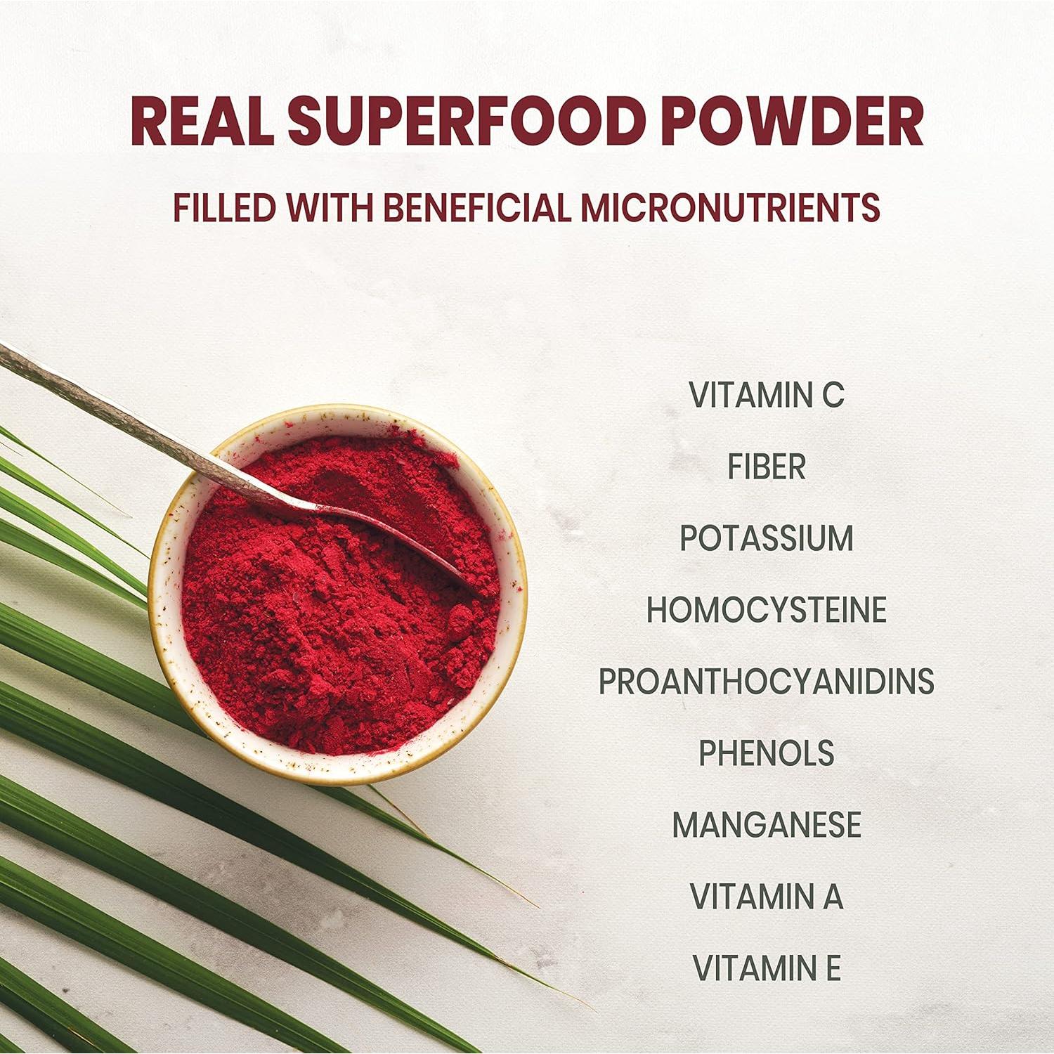 Polvo de Arándano Silvestre Jungle Powders 99.22 g Liofilizado