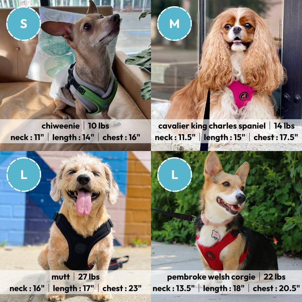 Arnés Deportivo Gooby Escape Free - Azul - Pequeño 15kg