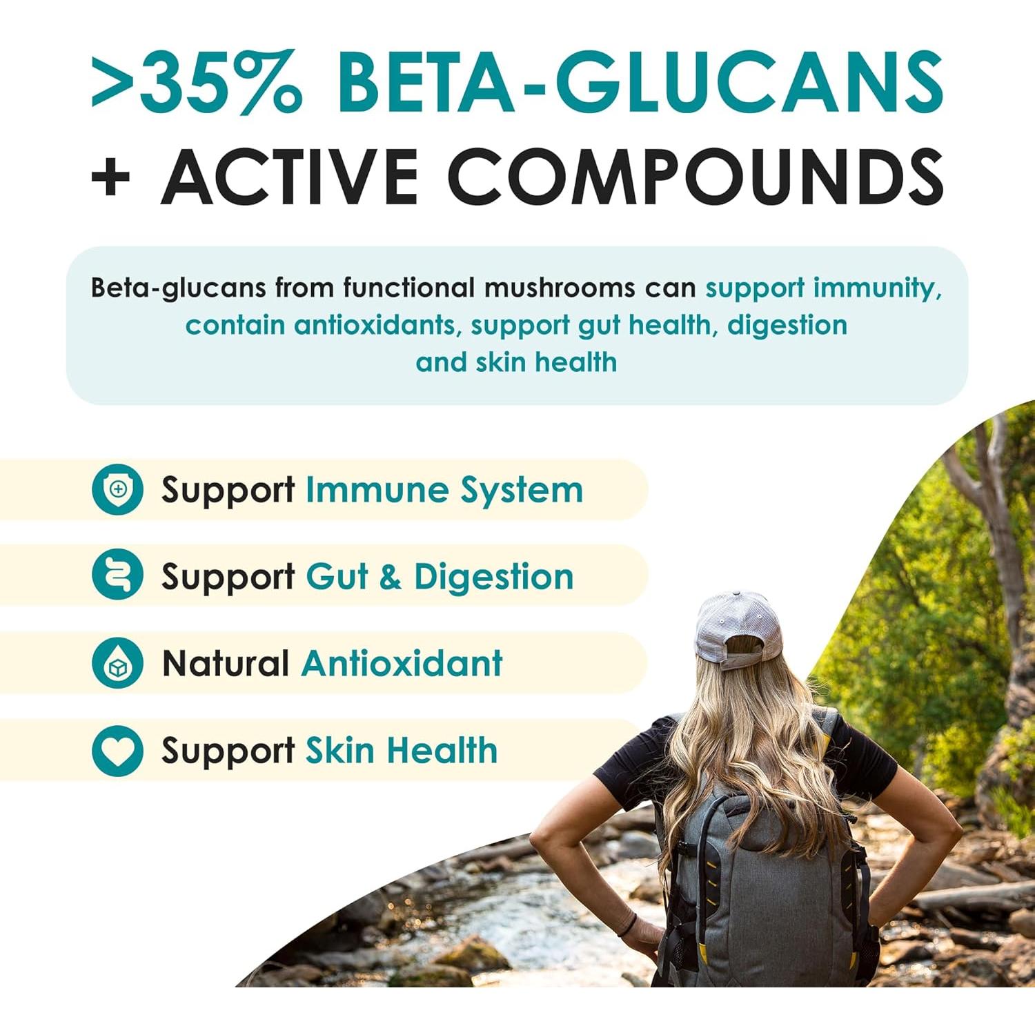 Tabletas de Extracto de Hongo Chaga Purest Mushrooms 30g