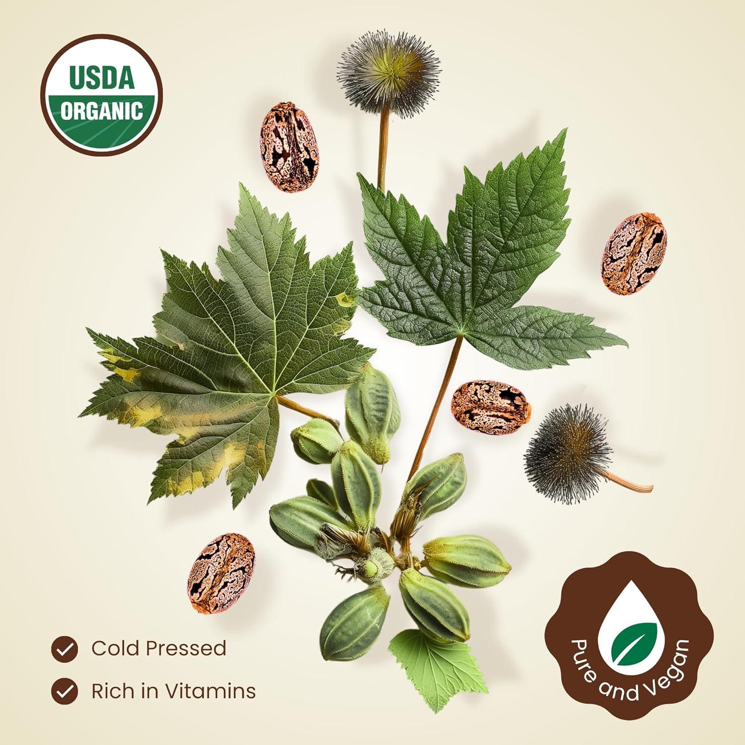 Aceite de Ricino Orgánico BodyJ4You 30 ml - Crecimiento Cabello y Pestañas