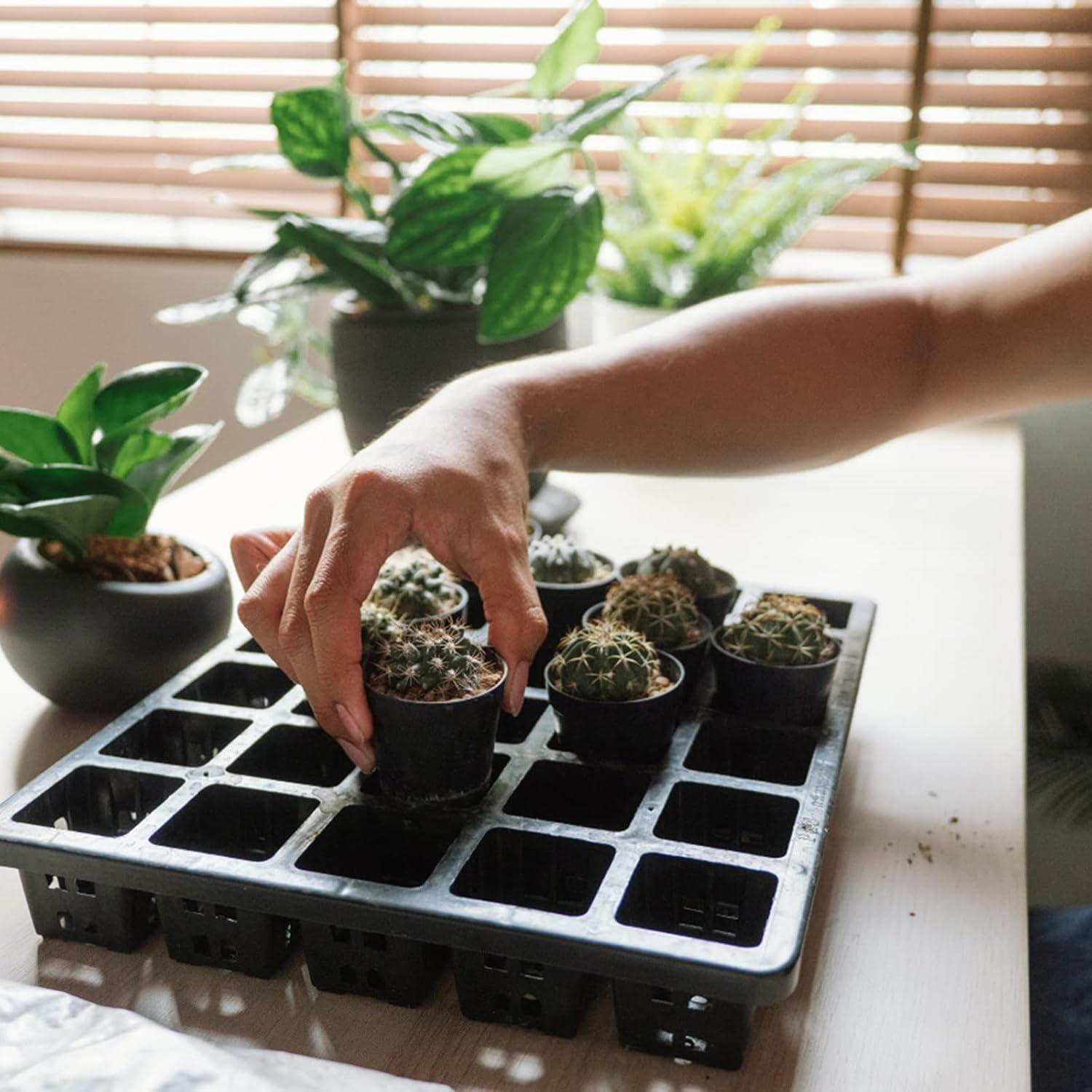 Macetas de Plástico Negras KINGLAKE GARDEN 50 Unidades 5.4 cm