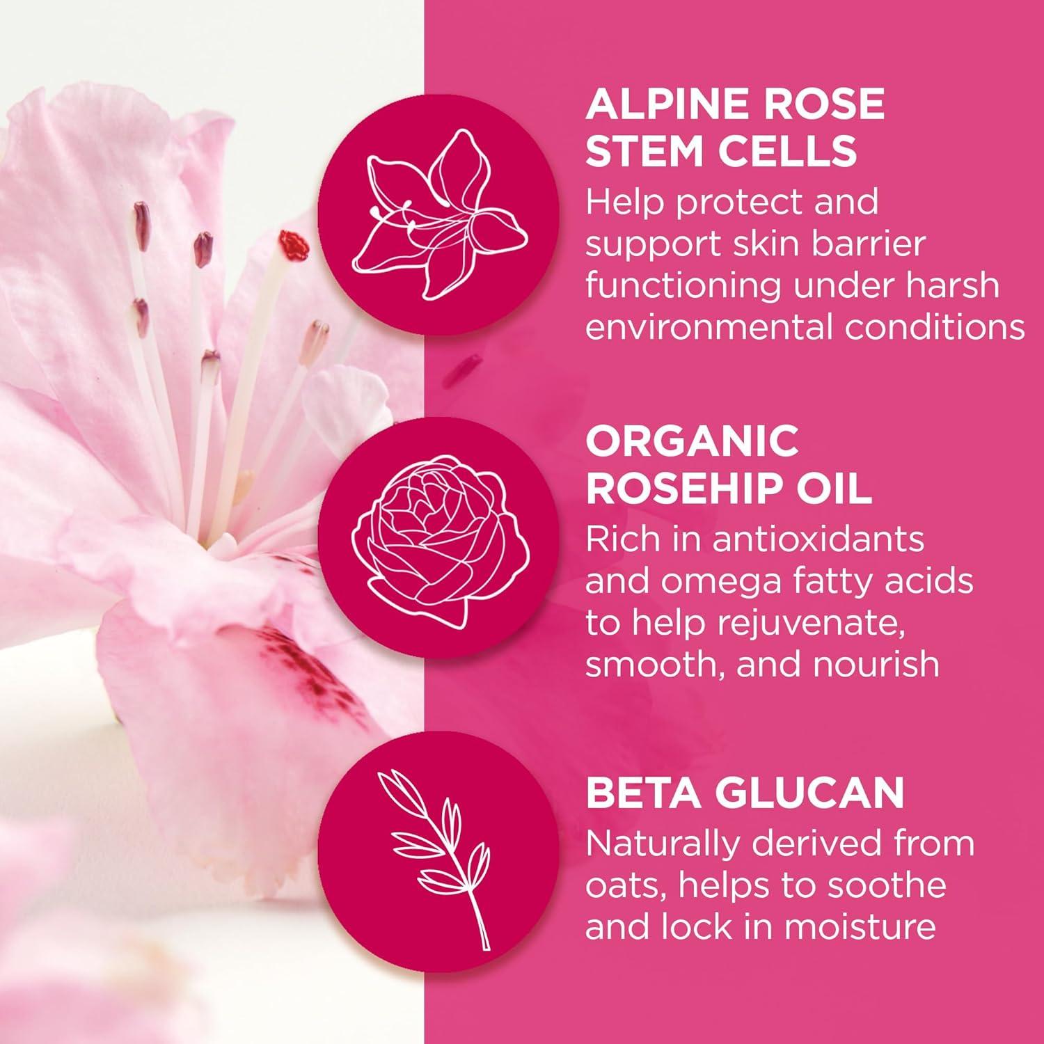 Máscara Labial Nocturna Andalou Naturals 1000 Rosas 11.83g