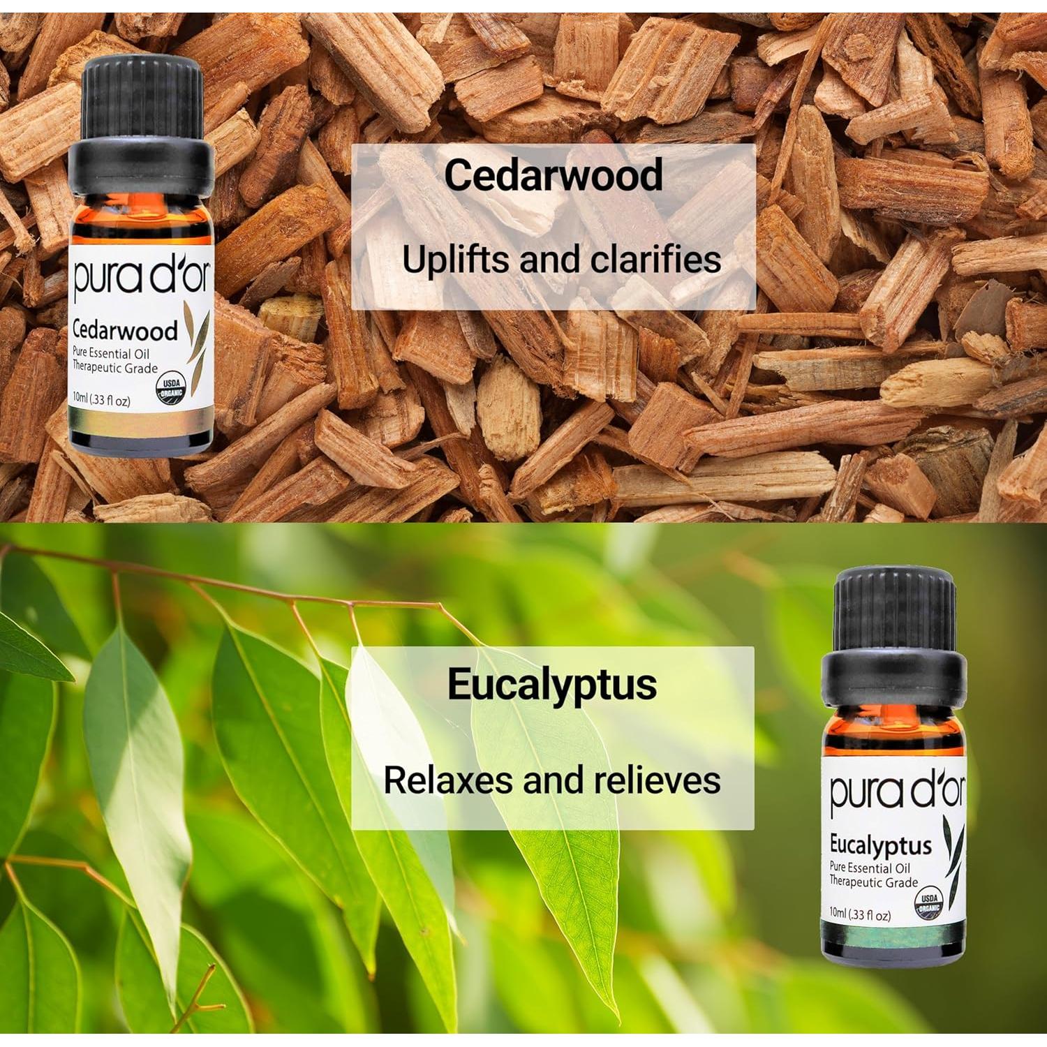 Set de Aceites Esenciales PURA D'OR Perfect10 - 10x10ml