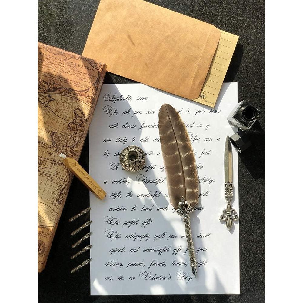 Set de Pluma de Pavo Real SCHOWE con Tinta y Accesorios