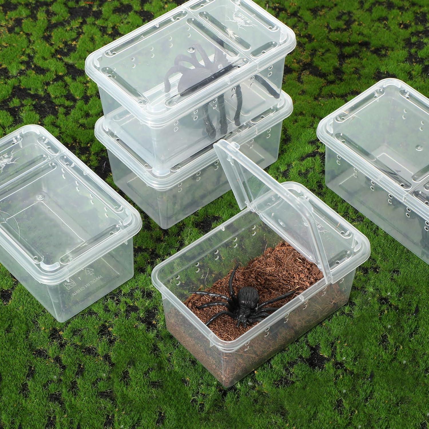 Caja de Cría de Reptiles Irenare 8 Pcs 11x7x7.5 cm