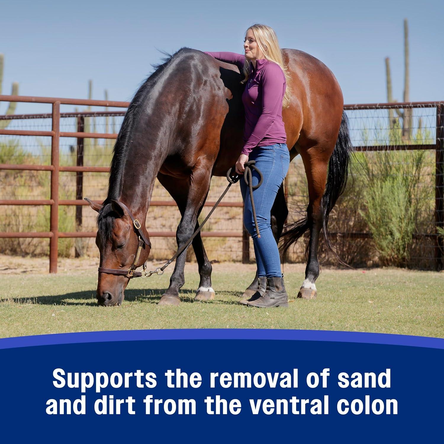 Suplemento Crumbles Psyllium SandClear Farnam 1.36 kg