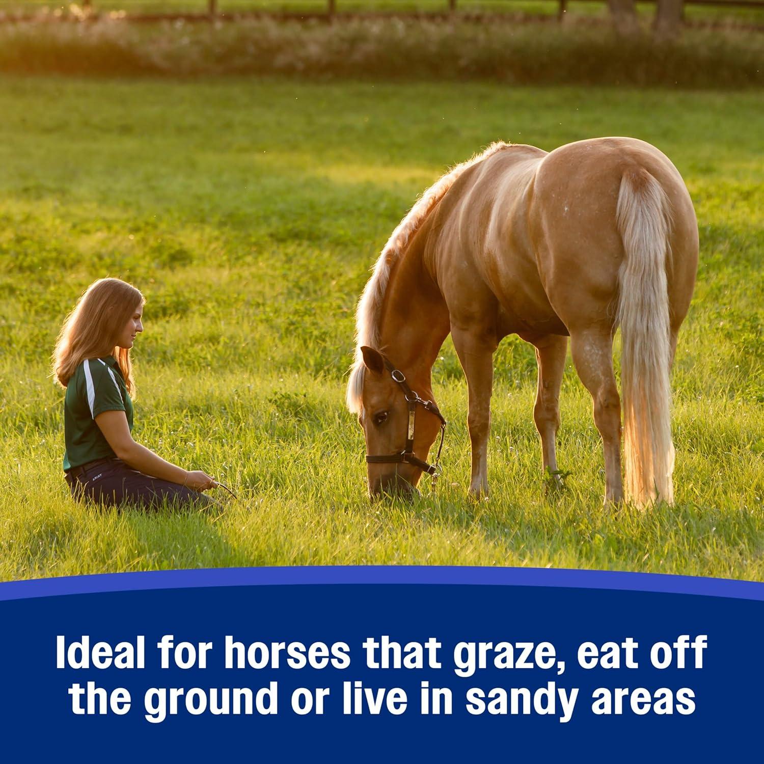 Suplemento Crumbles Psyllium SandClear Farnam 1.36 kg