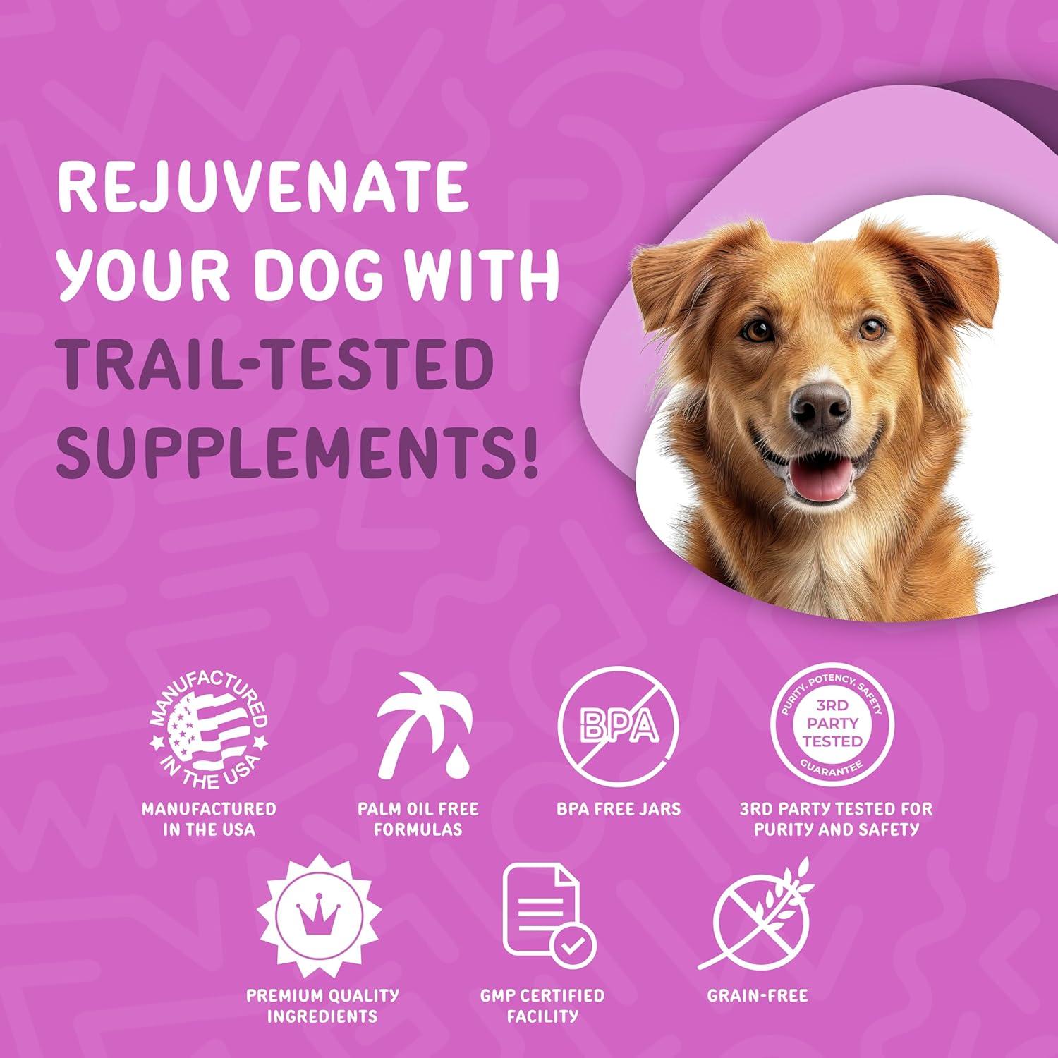 Waggedy Probioticos Avanzados para Perros - 113g