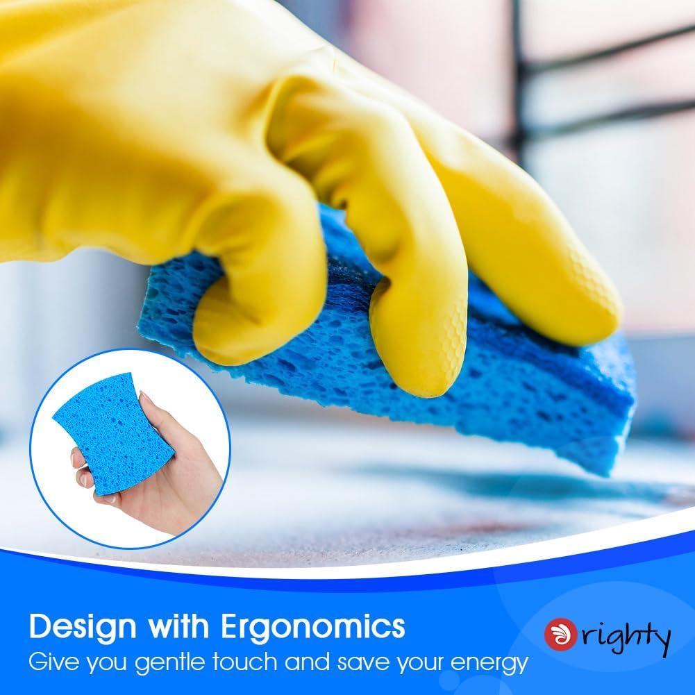 Esponjas de Celulosa No Rayantes Orighty 24 Unidades