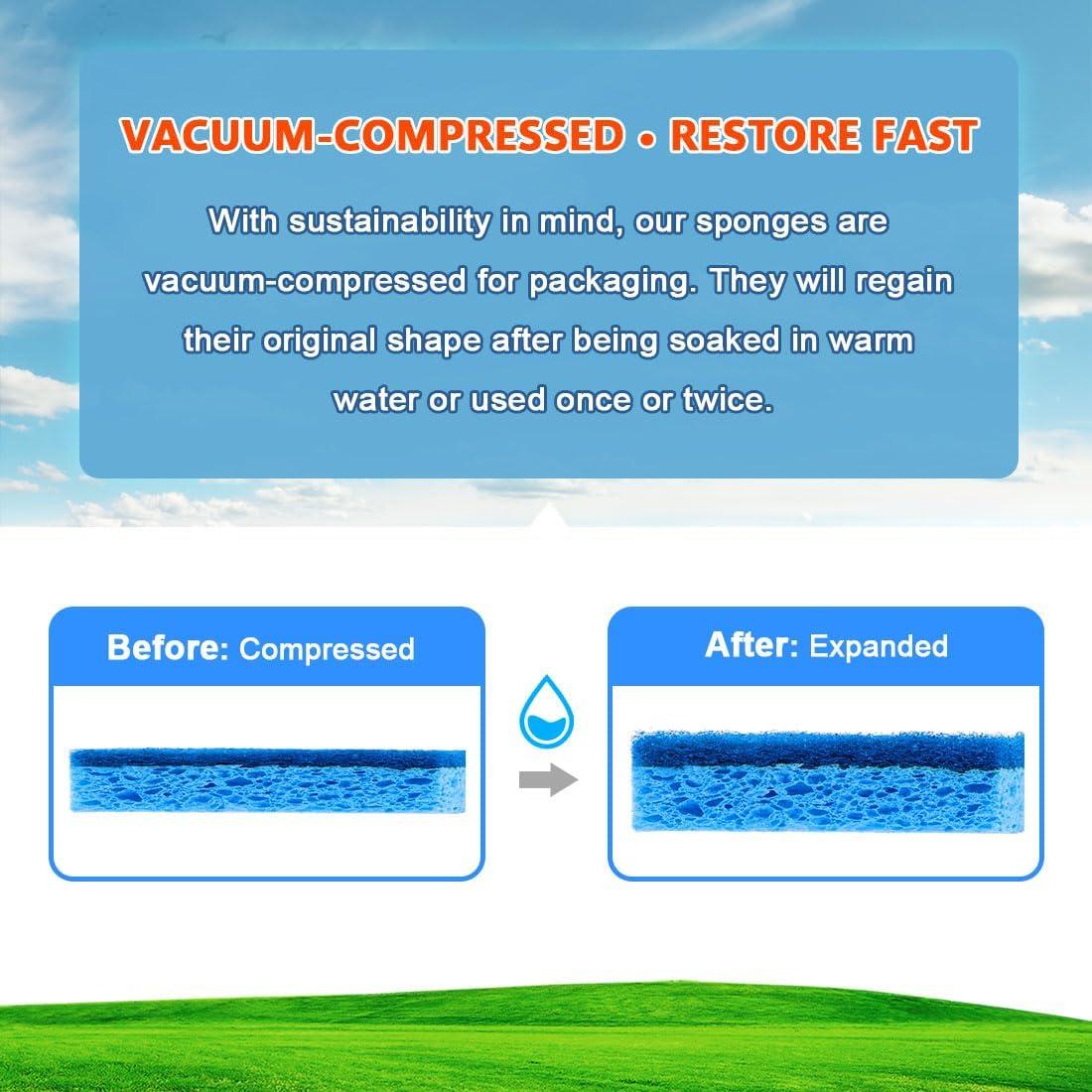 Esponjas de Celulosa No Rayantes Orighty 24 Unidades