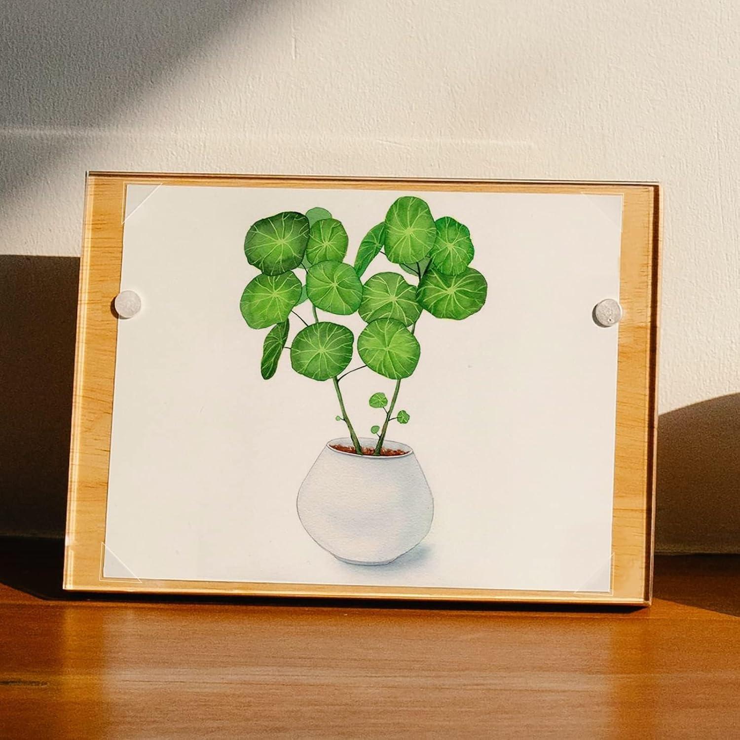 Esquinas Fotográficas Archival Autoadhesivas Lineco 1.59 cm (Paquete de 500)