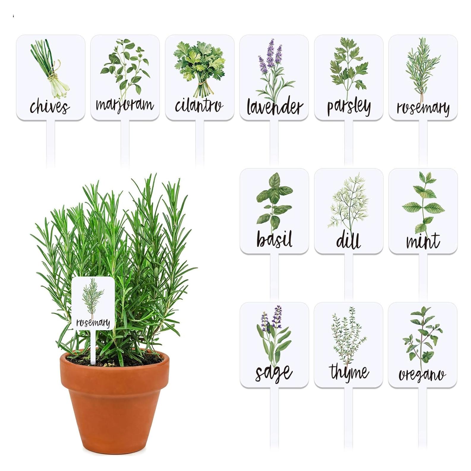 Etiquetas de Plantas Acrílico Whaline 24 Pcs 12 Diseños