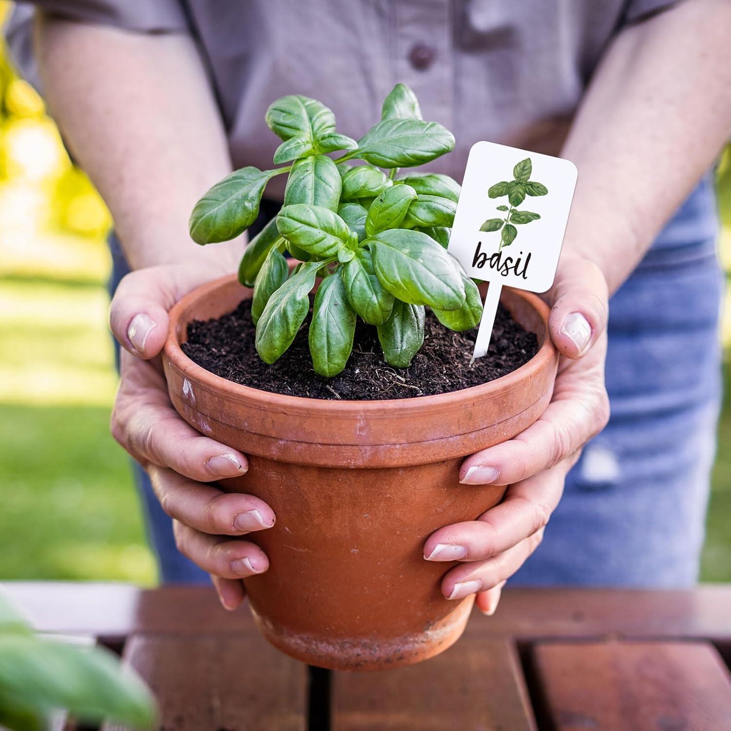 Etiquetas de Plantas Acrílico Whaline 24 Pcs 12 Diseños