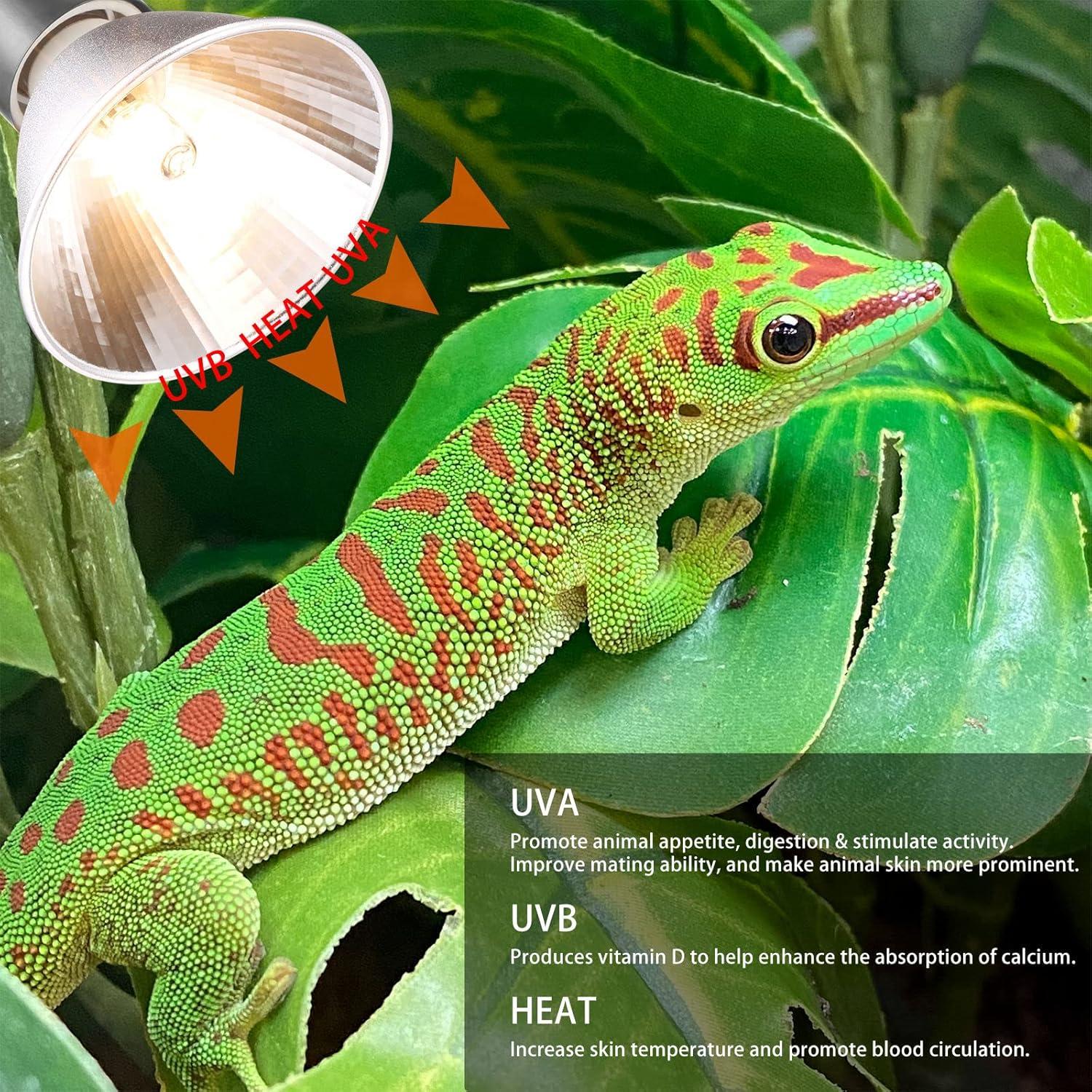 Paquete de 3 Bombillas Halógenas UVA UVB ExoRepti 25W para Reptiles