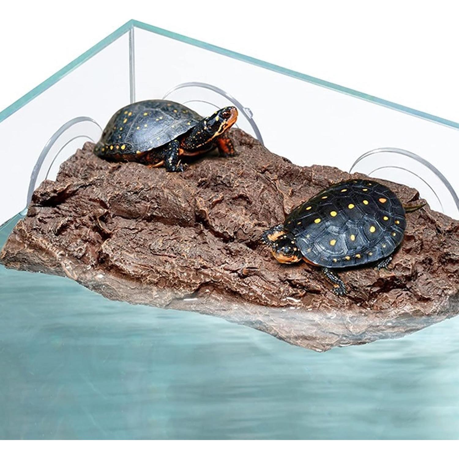 Plataforma Flotante para Tortugas Abustle Pig - Roca Natural 22x13x4 cm