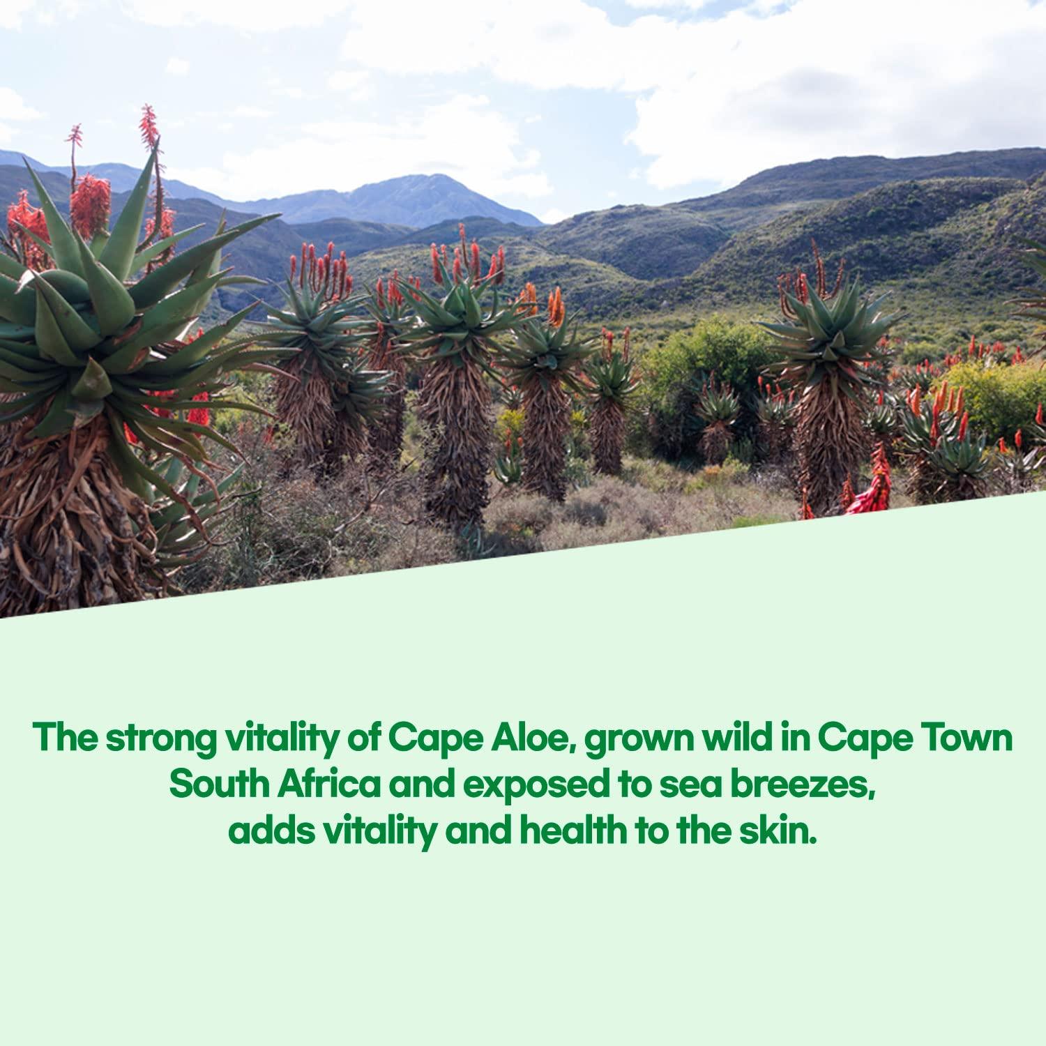 Gel Calmante de Aloe Vera Orgánico by.H - Hidratante 98% Puro