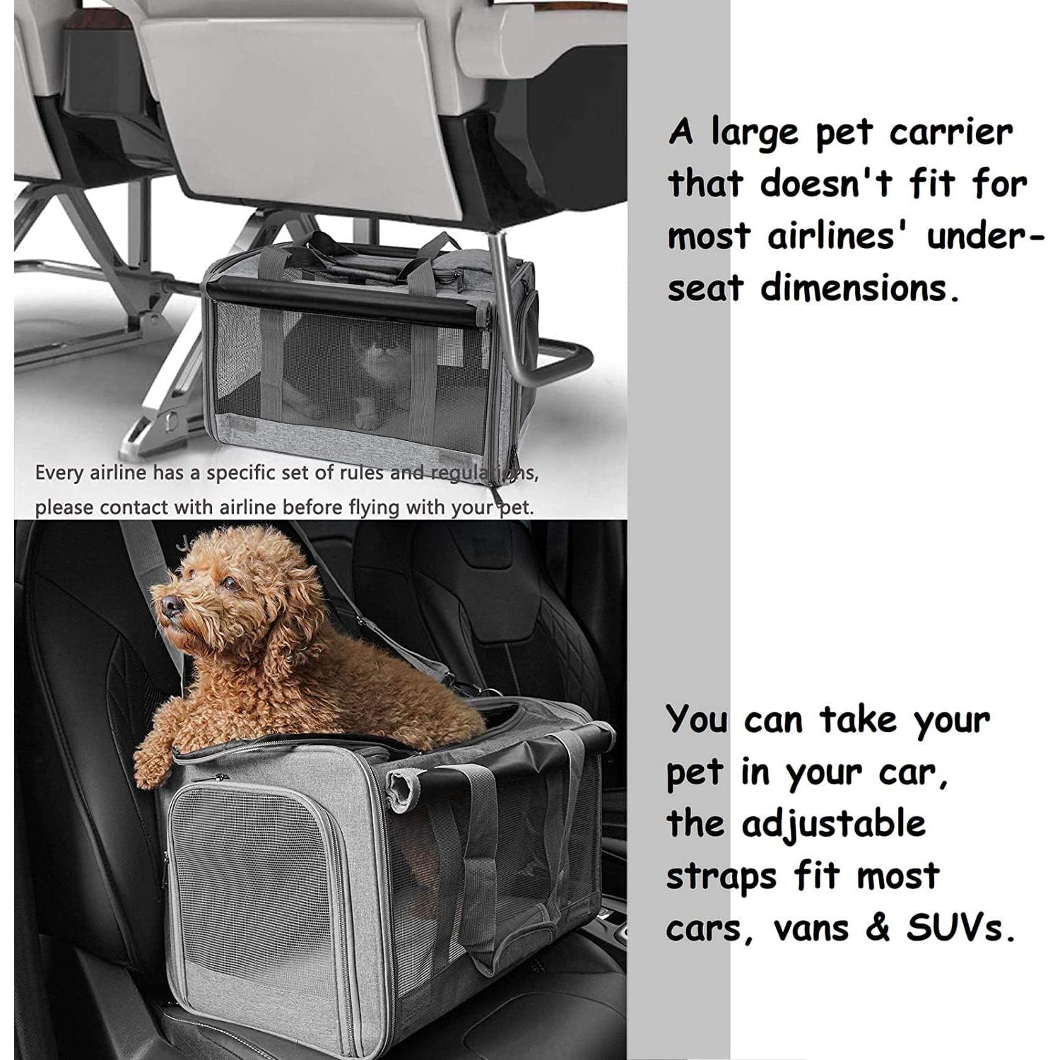 Transportín para Gatos GAPZER Grande Plegable y Lavable