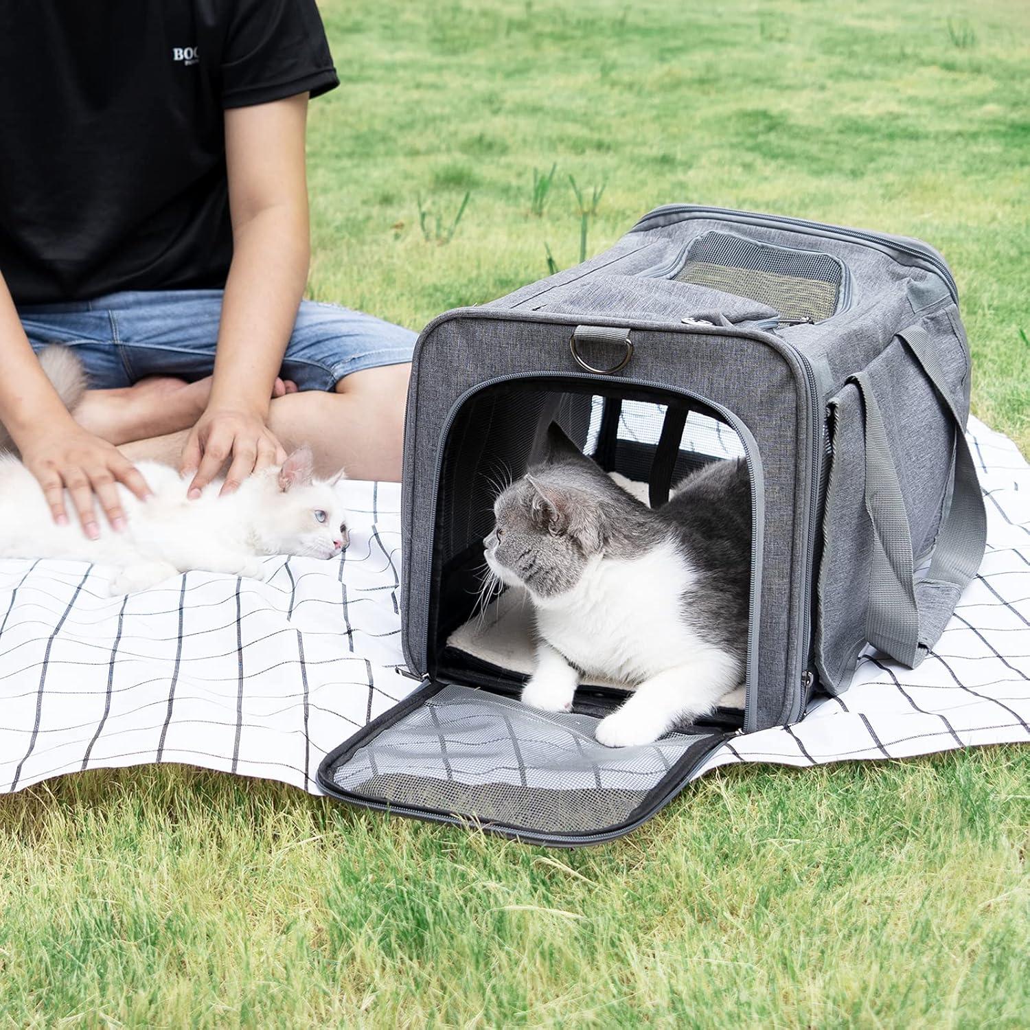 Transportín para Gatos GAPZER Grande Plegable y Lavable