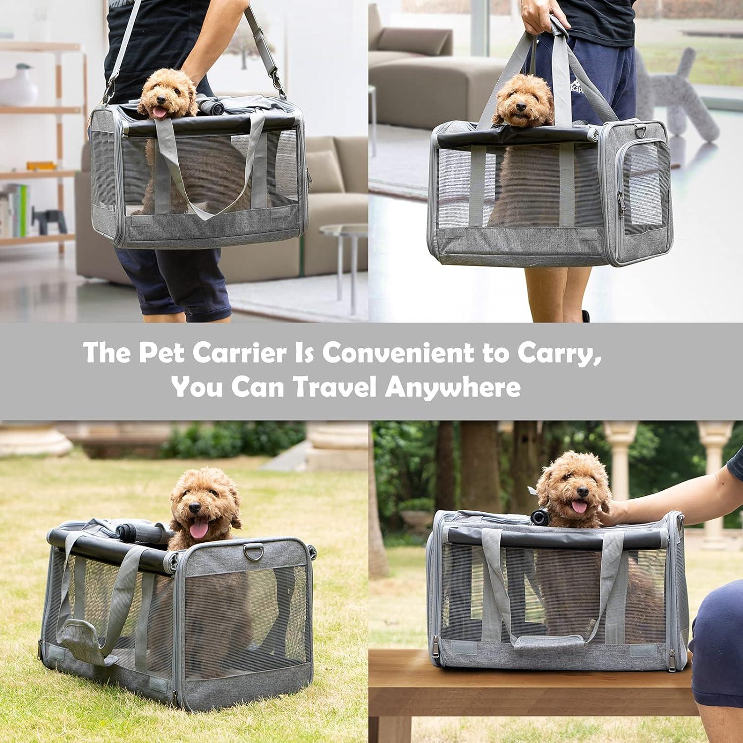 Transportín para Gatos GAPZER Grande Plegable y Lavable