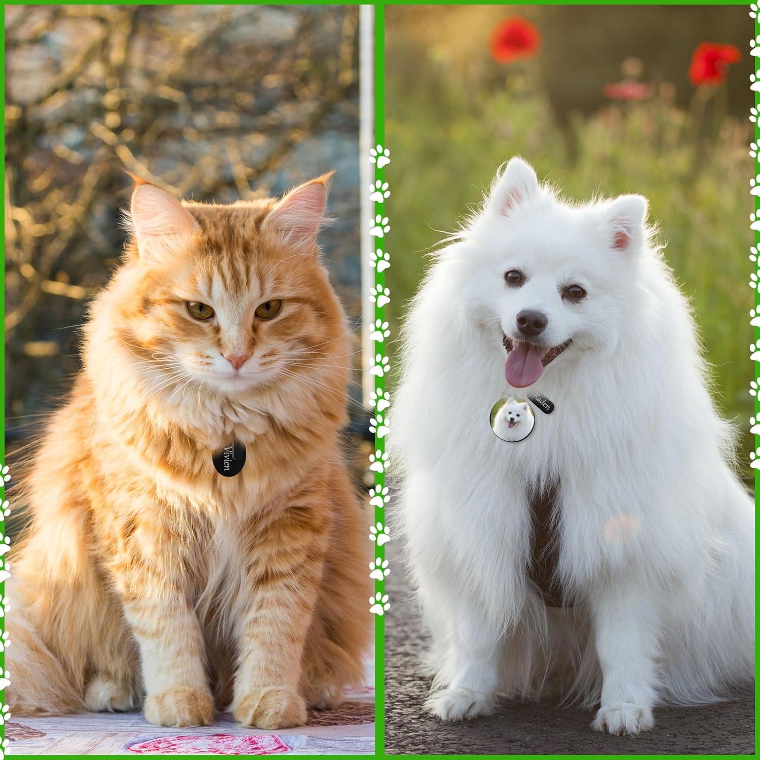 30 Etiquetas Grabables de Acero Inoxidable Gisafai - Negro