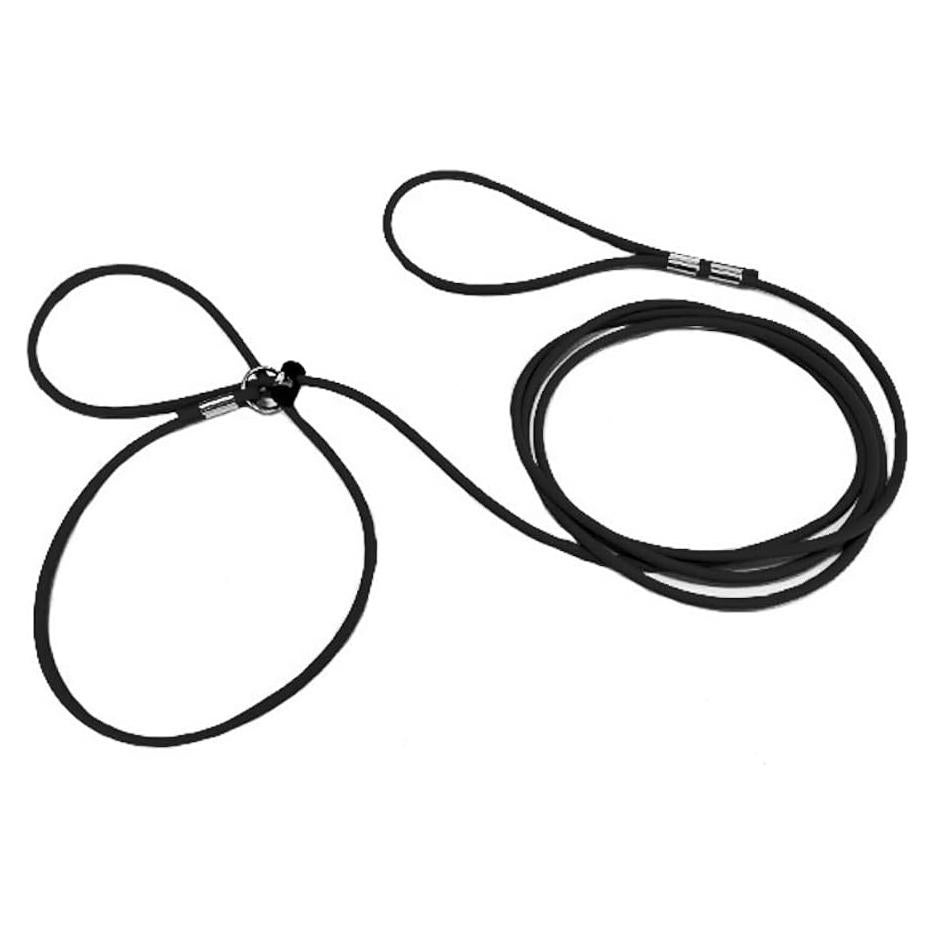 Arnés y Correa Ajustable AZ Micro Mini Pigs para Mascotas