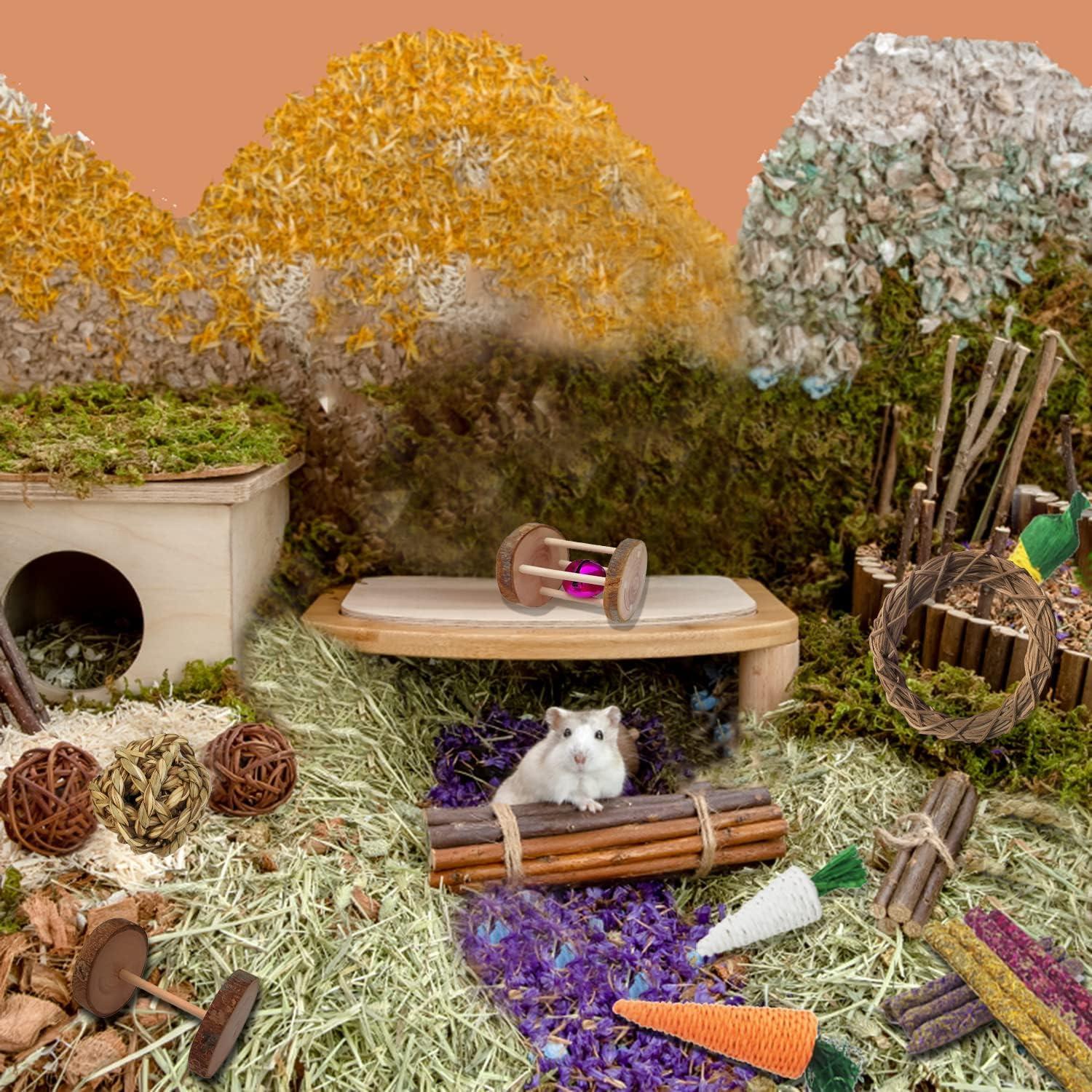 Juego de Juguetes para Conejos y Cobayas Dbeans 13 Piezas