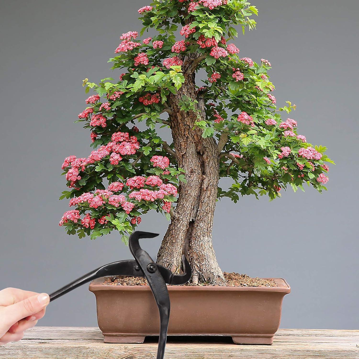 Divisora de Troncos BambooMN 26.9 cm Acero al Carbono