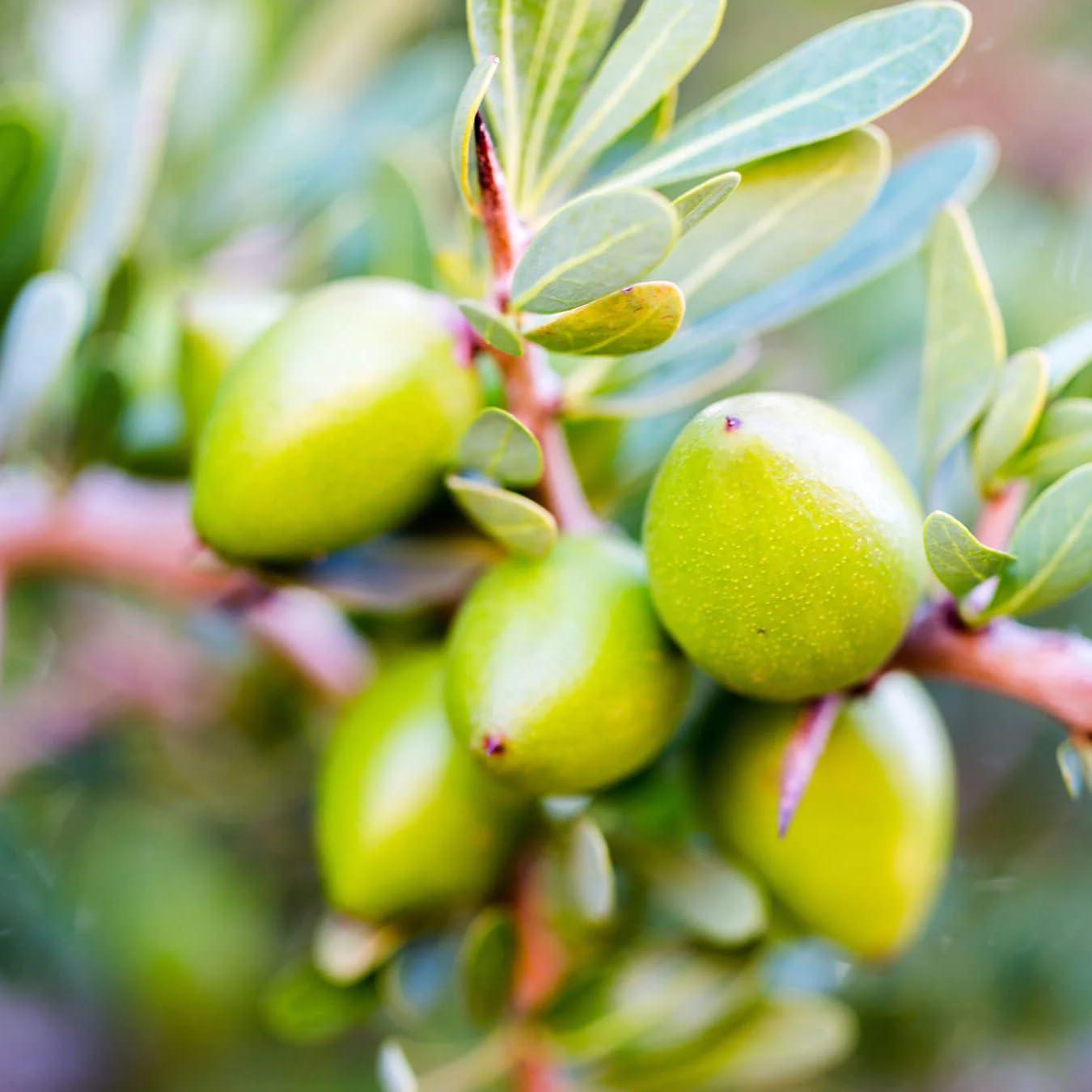 Aceite de Argán Aromatics International 30 mL - Cuidado Cabello y Piel