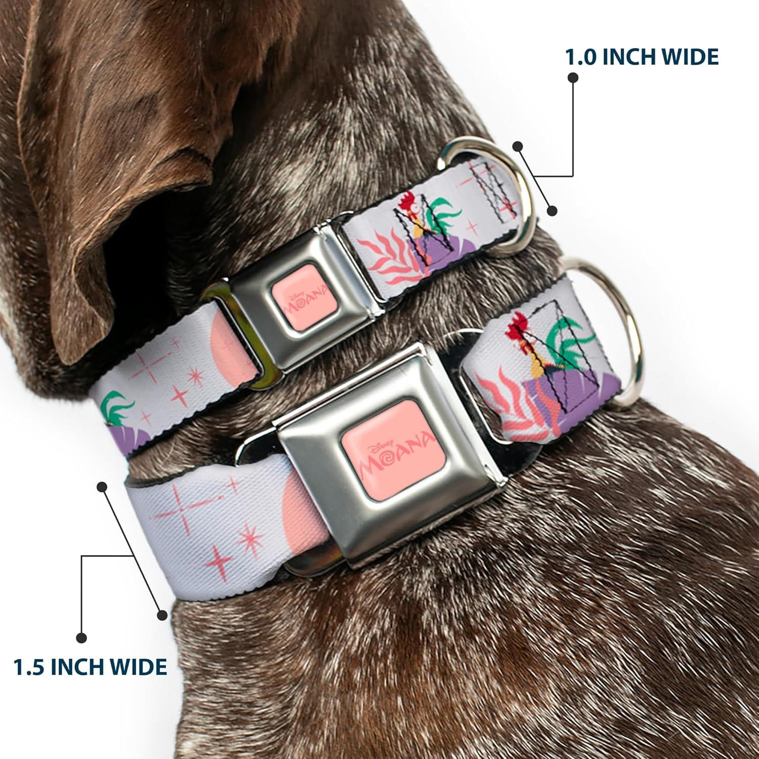 Collar para Perro Disney Buckle-Down Moana 24.1-33 cm