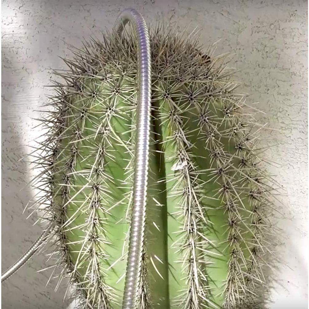 Manguera de Jardín Beaulife 30.48 cm Acero Inoxidable 304