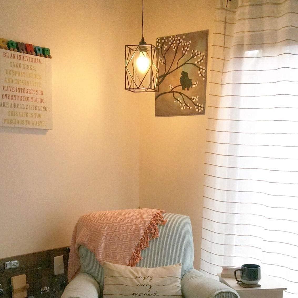 Luz Colgante Enchufable HMVPL con Regulador 16x24cm Negro