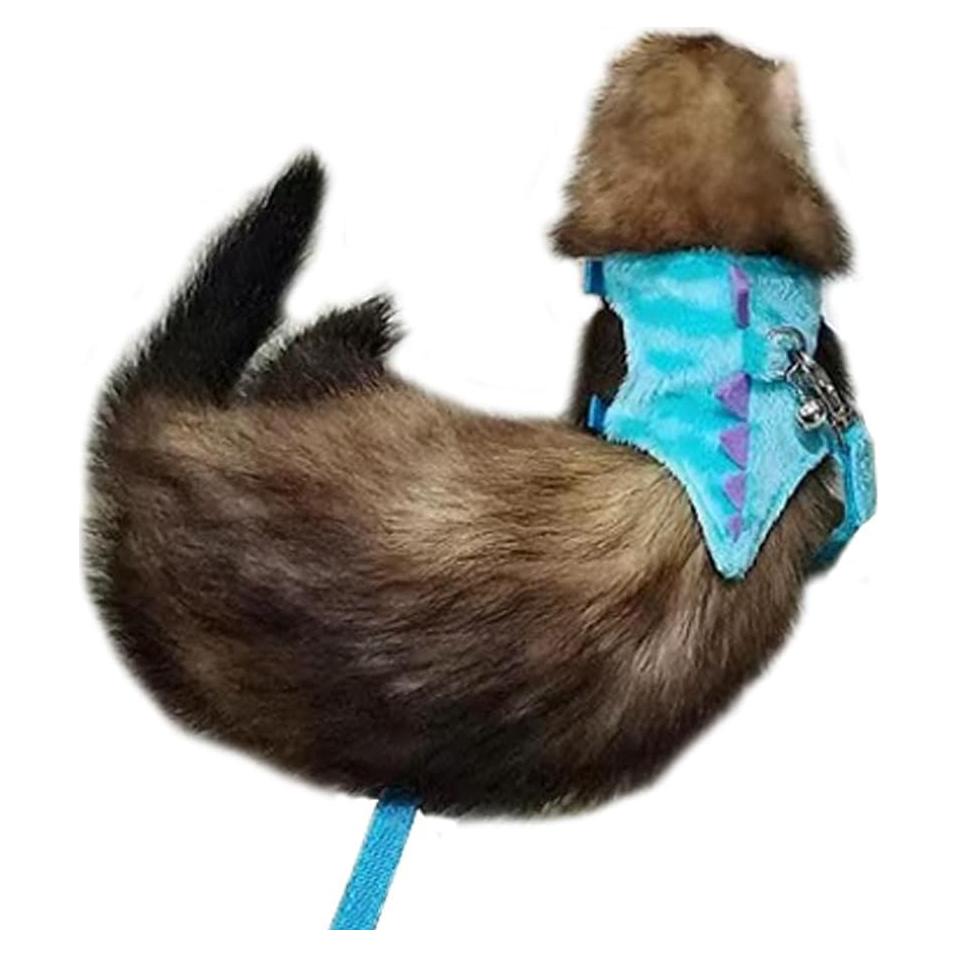 Arnés Chaleco para Mascotas Pequeñas MQQYLBHDS Dinosaurio Azul