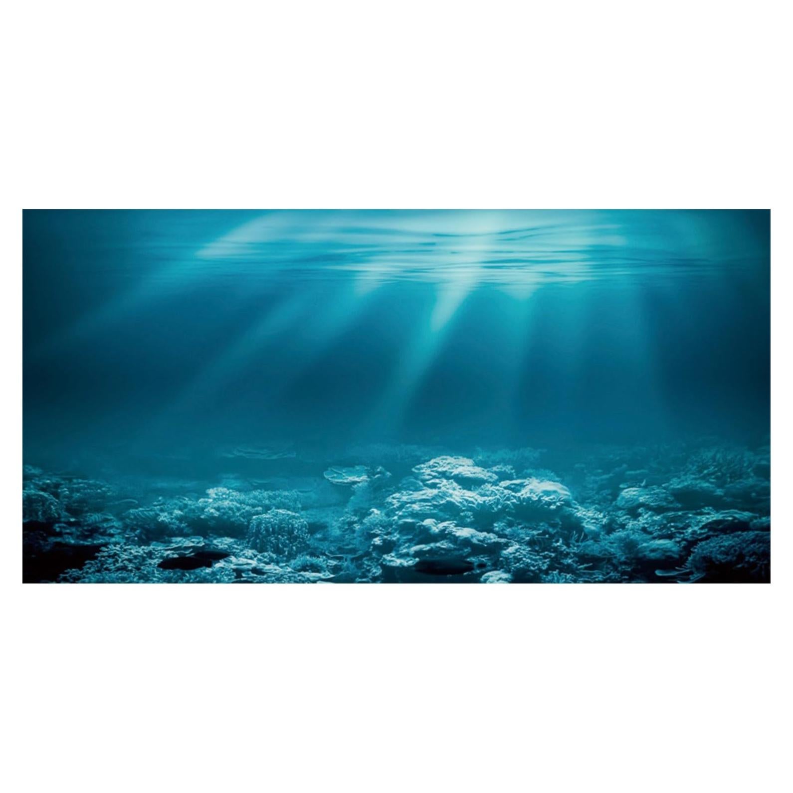 Fondo de Acuario 60x30 cm AWERT Tema Submarino HD