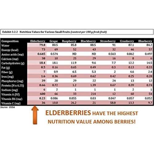 Jarabe de Sábila Orgánico BerryQueen 227g - Suplemento Natural
