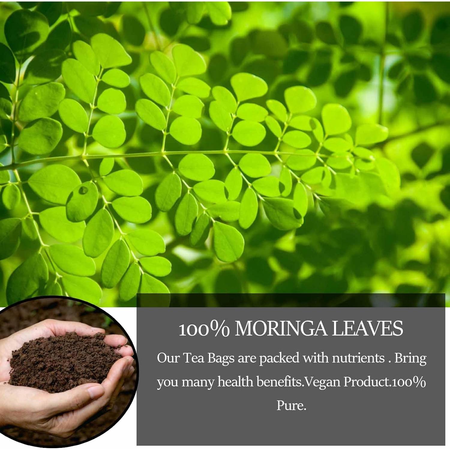 Té de Moringa Premium XICOFISS 120 Bolsitas 100% Natural