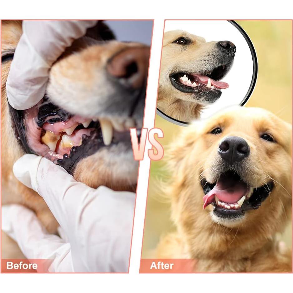 Juguete para Masticar Perros Mondotoy en Forma de Zapato 16cm