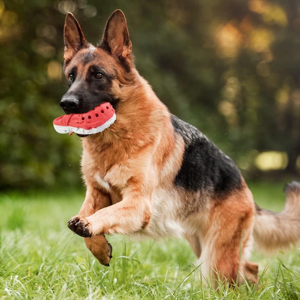 Juguete para Masticar Perros Mondotoy en Forma de Zapato 16cm