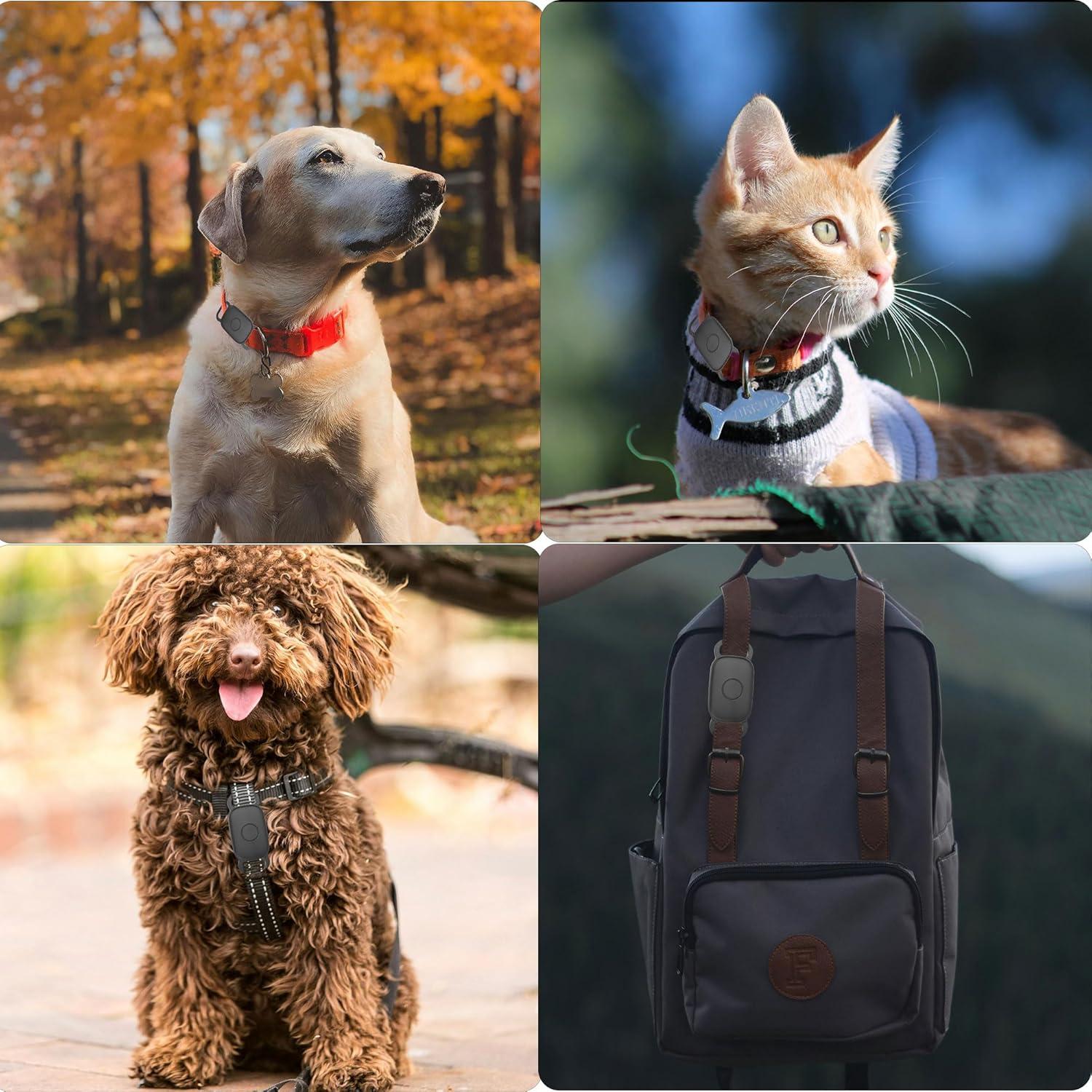 Soporte para Collar de Perro Tile Pro 2024 - Funda Silicona Impermeable