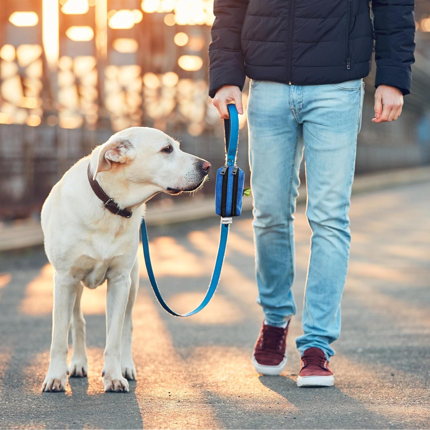 Dispensador de bolsas de excremento para perro Leashrr 2.0 Negro