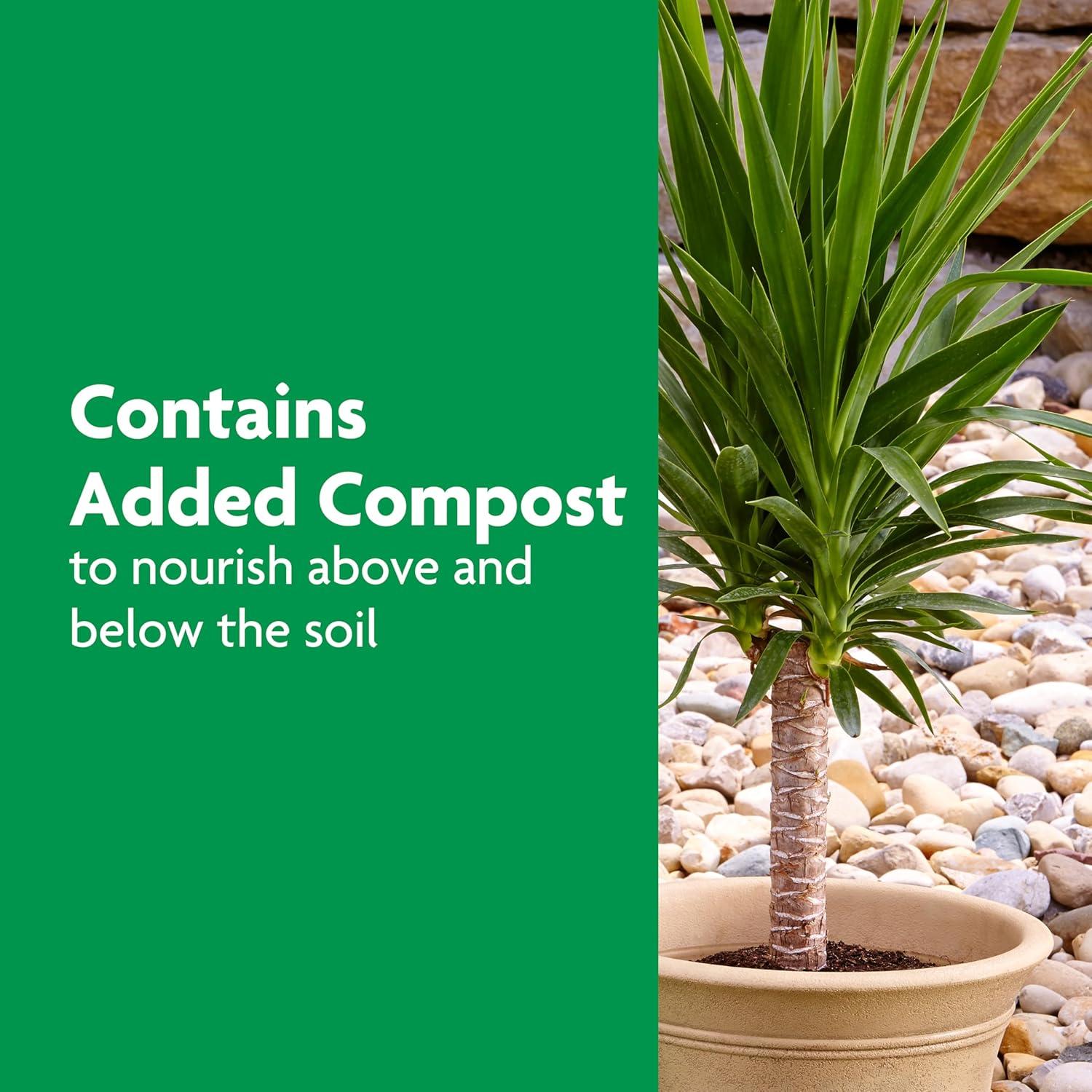 Alimento para Plantas de Palma Miracle-Gro 2.04 kg - Nutre Palmeras