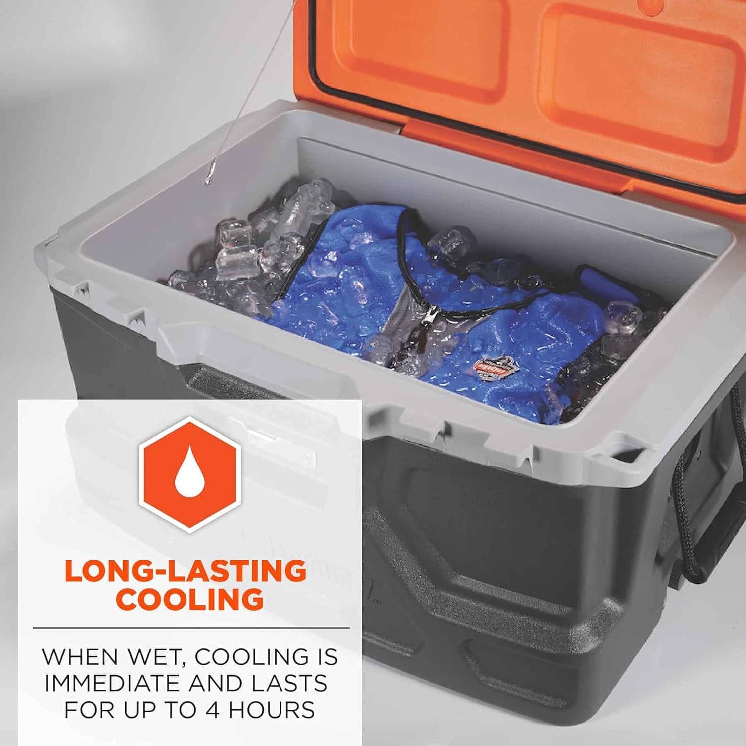 Chaleco Refrigerante Ergodyne Chill-Its 6667 PVA Azul Grande