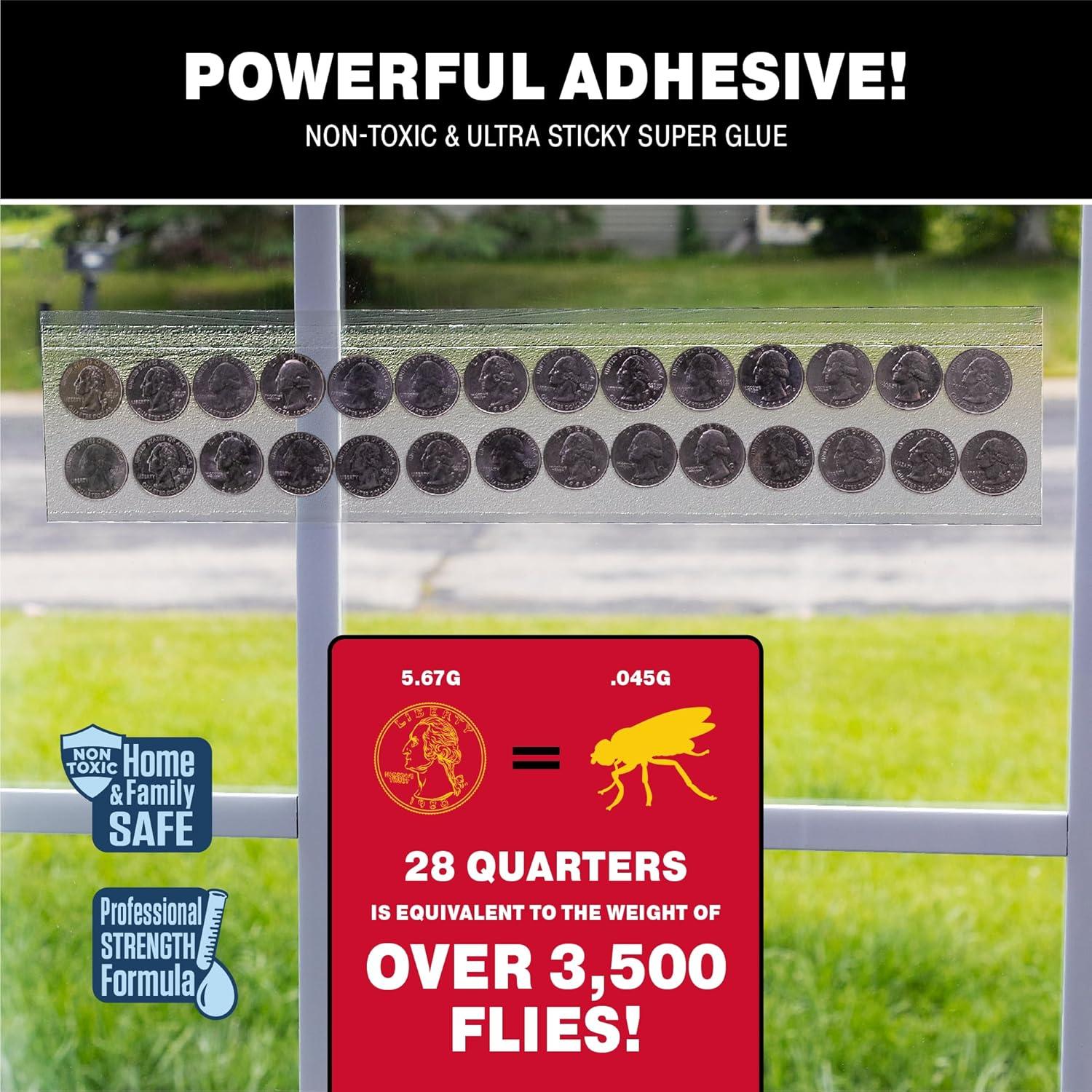 Trampas para Moscas Catchmaster XL 12 Unidades, Adhesivas y Seguras