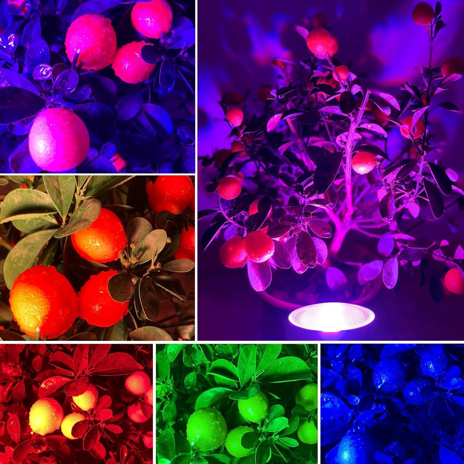 Bombilla LED Par38 30W E26 RGB y Blanco Cálido con Control Remoto