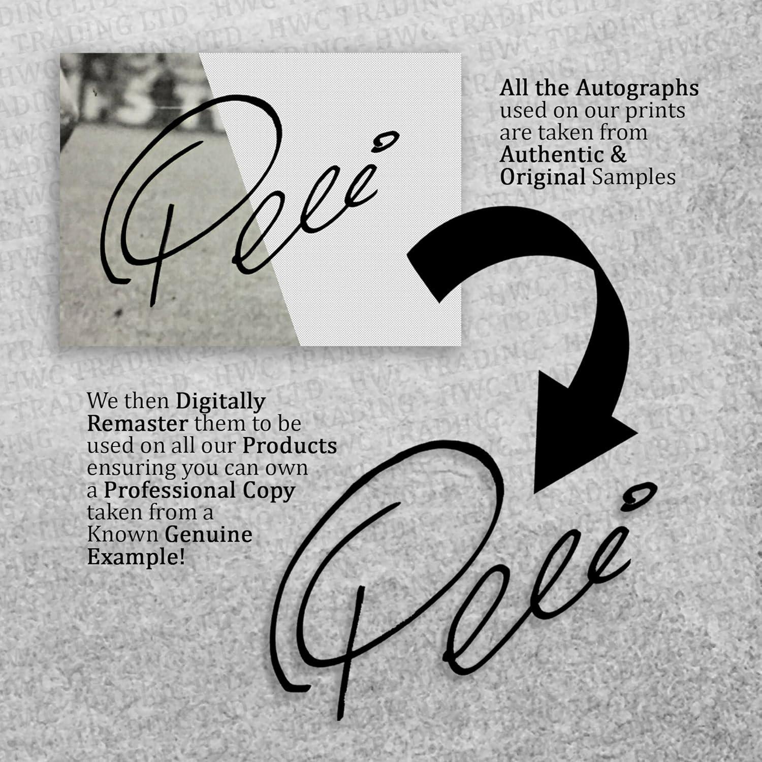 Montaje Enmarcado Jurassic Park 1 HWC Trading 33x45 cm