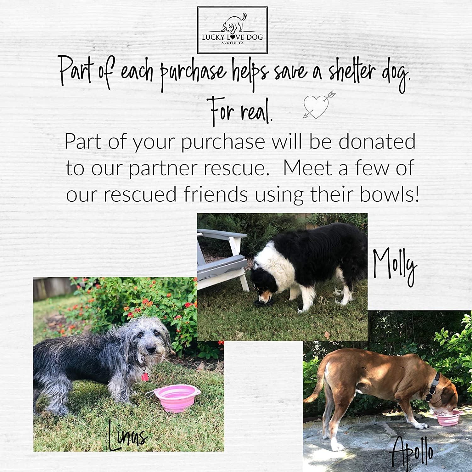 Tazón de Viaje Plegable Lucky Love para Perros - 591 ml