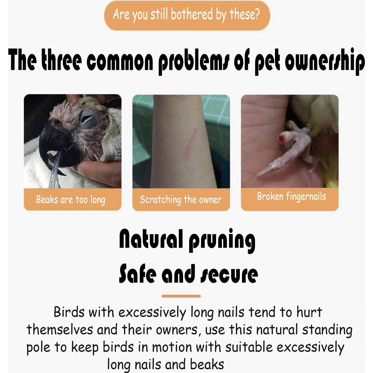 Juguete para Aves Dbeans Flourithing con Campana y Comedero