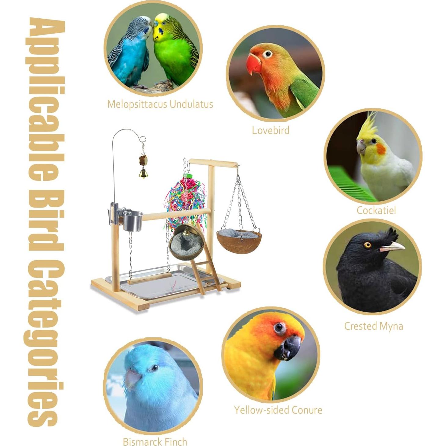 Juguete para Aves Dbeans Flourithing con Campana y Comedero